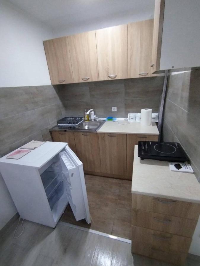 Apartman Ninic Vrnjačka Banja المظهر الخارجي الصورة