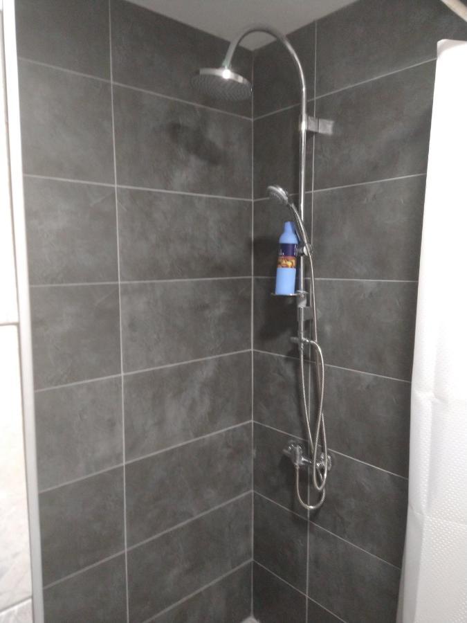 Apartman Ninic Vrnjačka Banja المظهر الخارجي الصورة