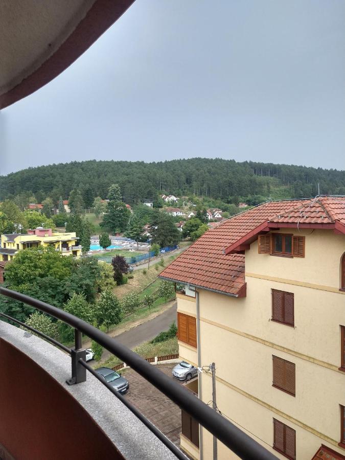 Apartman Ninic Vrnjačka Banja المظهر الخارجي الصورة