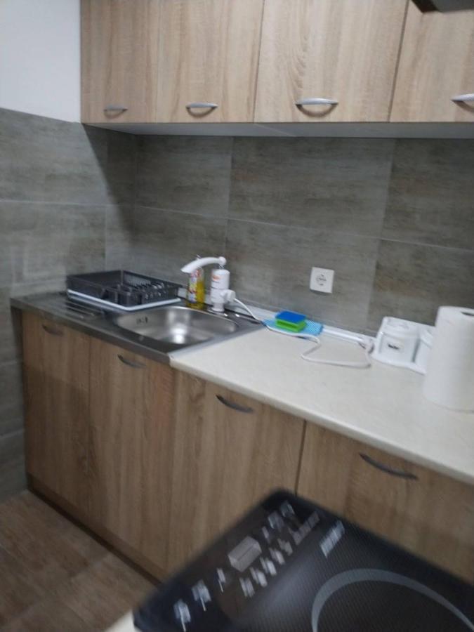 Apartman Ninic Vrnjačka Banja المظهر الخارجي الصورة